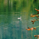 29092012wanderungoffenseeat_02_001aktivnews__2_.JPG