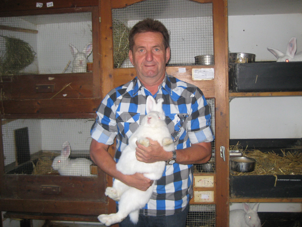 grilla_jpg 006_jpg-1349274134