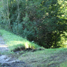 03102012lkwde01001aktivnews_29.jpg