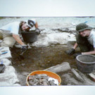 116_2756_JPG-1349305513