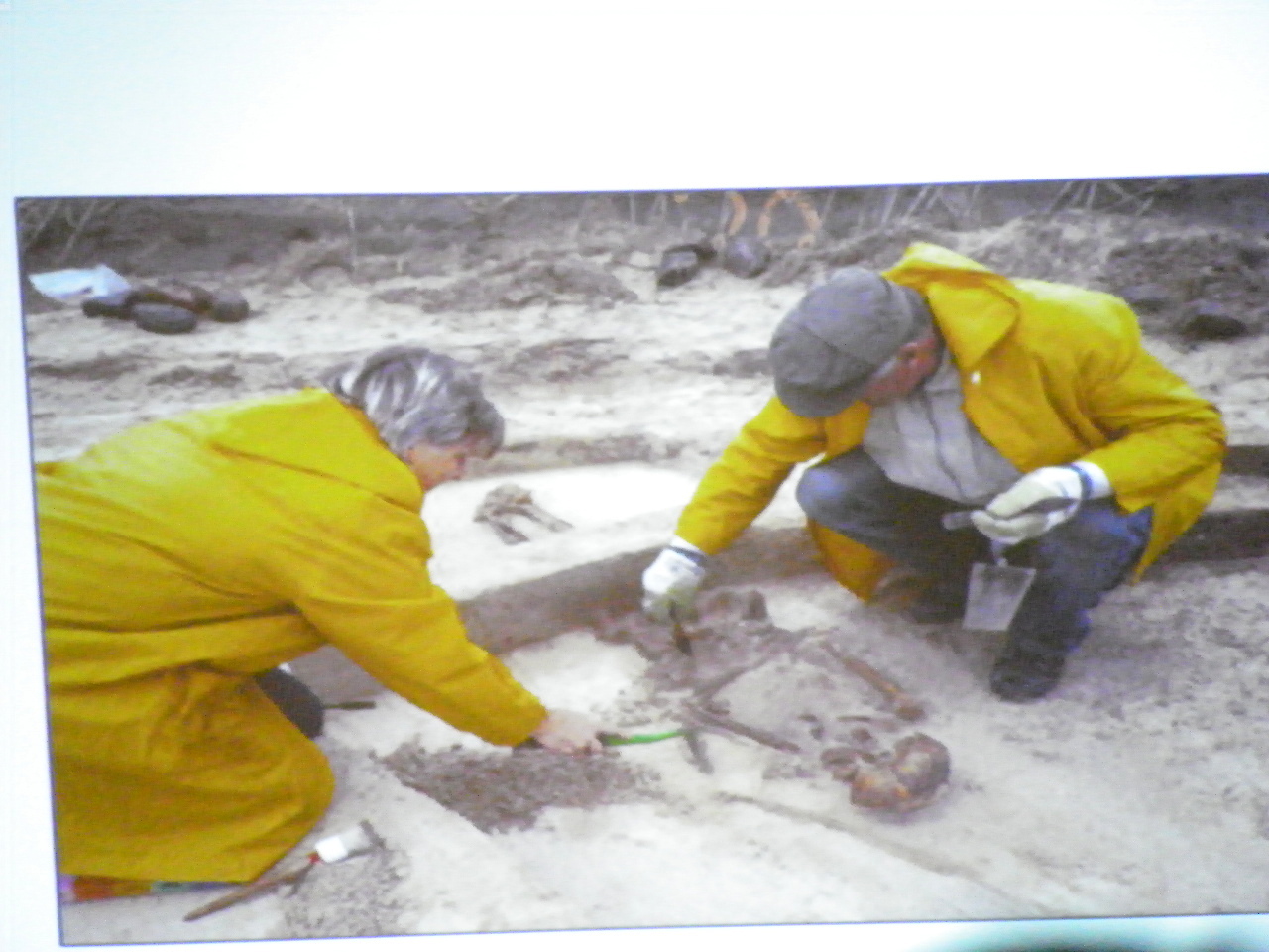 116_2757_JPG-1349305518