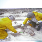 116_2757_JPG-1349305518