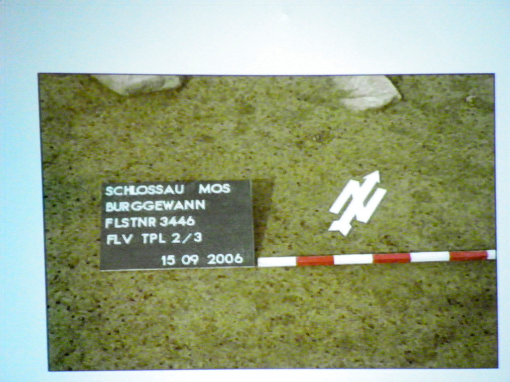 116_2760_JPG-1349305524