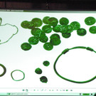 116_2763_JPG-1349305529