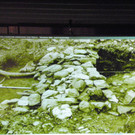 116_2767_JPG-1349305544