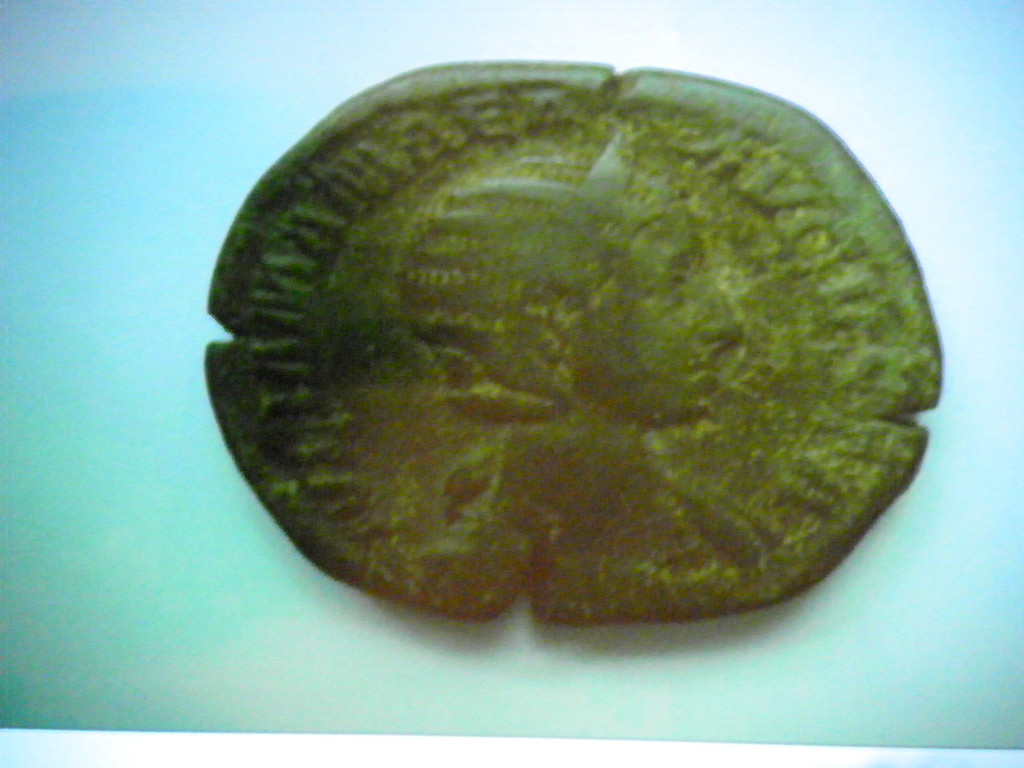 116_2768_JPG-1349305549