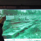 116_2794_JPG-1349305570