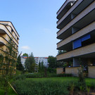 115_6665_JPG-1349305712