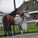 DSC_0032_JPG-1349342930