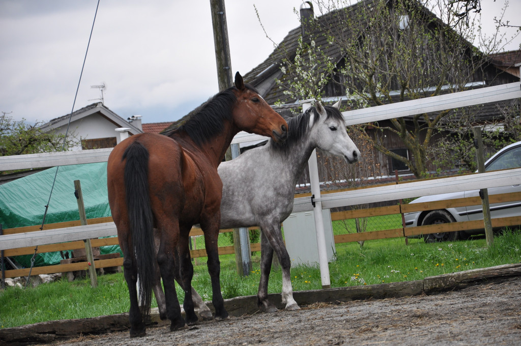 DSC_0032_JPG-1349342930