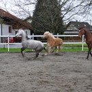 DSC_0036_JPG-1349342953