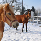 DSC_0886_JPG-1349343025