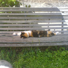 DSC00502_JPG-1349343030