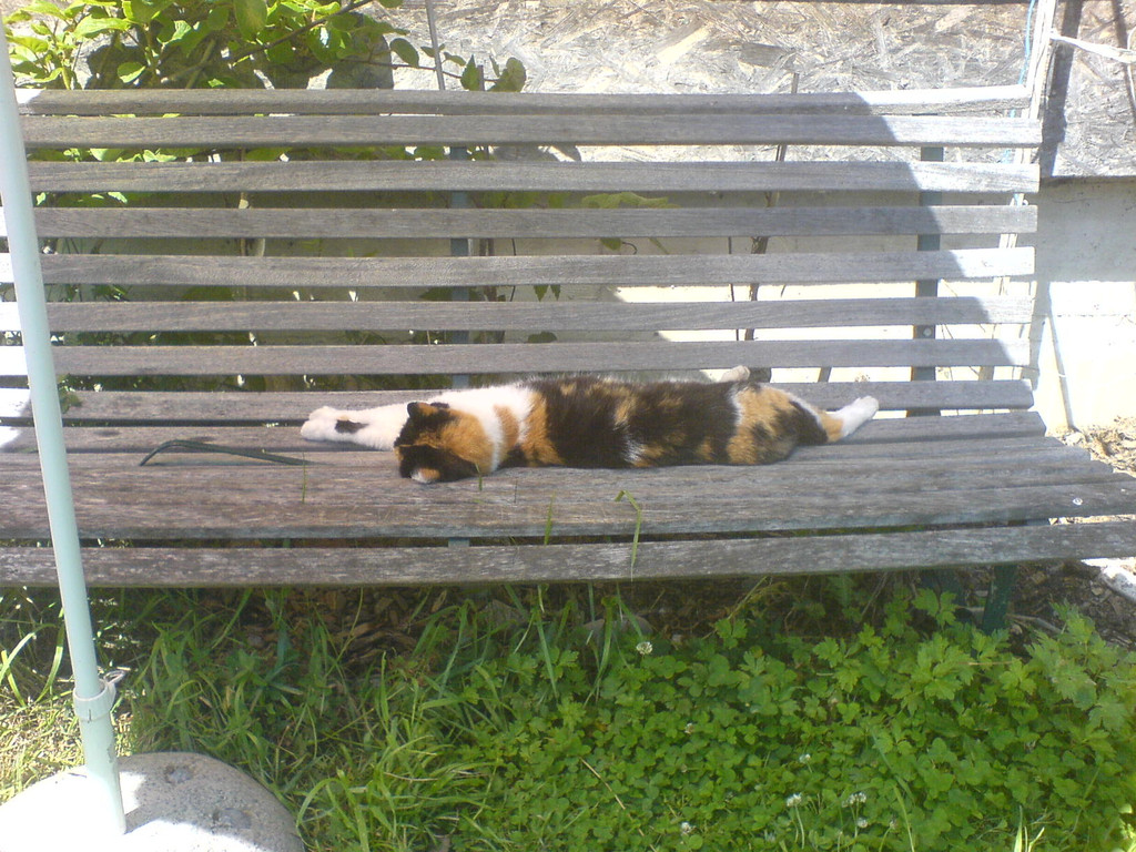 DSC00502_JPG-1349343030