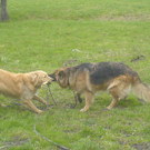 DSC00813_JPG-1349343039