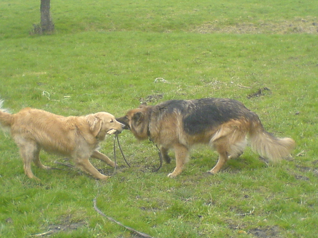 DSC00813_JPG-1349343039