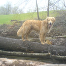 DSC00819_JPG-1349343044