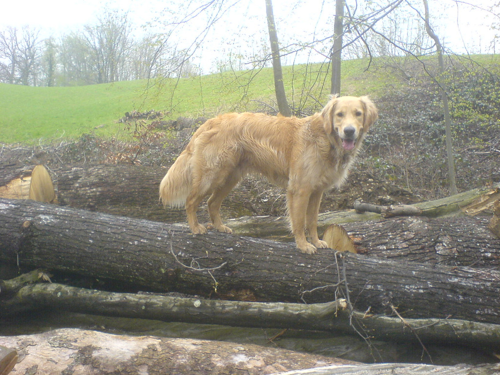 DSC00819_JPG-1349343044