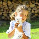 Katzen Tierbaby09.jpg