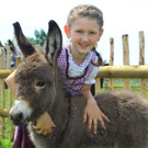 Tierbaby Esel06.jpg