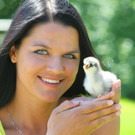 Tierbaby Brahmahu__hner07.jpg