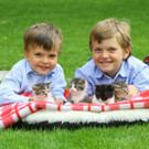 Tierbaby Ka__tzchen01.jpg