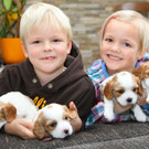 Tierbaby Welpen04.JPG