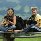 Welpen Alpe Kau 1.jpg