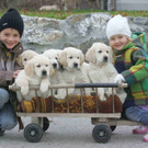 Tierbaby der Woche07.jpg