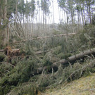 Flursch_E4den_209.jpg