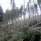 Flursch_E4den10.jpg