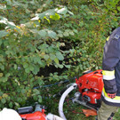 normal_04102012brandmuehlbachat02007aktivnews031.jpg