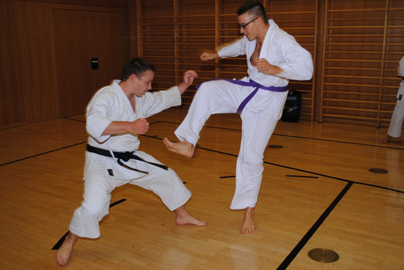 DSC_1771_JPG-1349375284