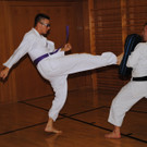 DSC_1773_JPG-1349375286