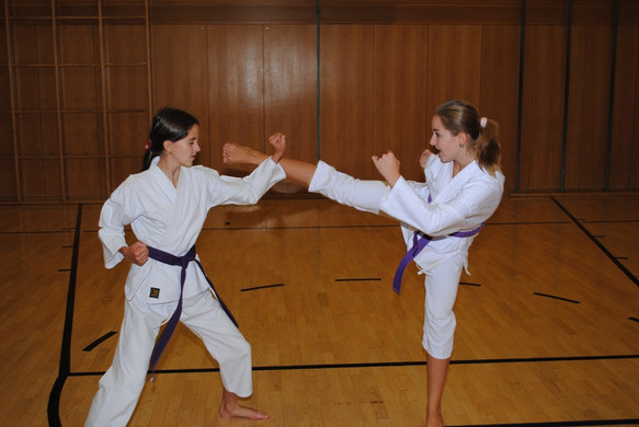 DSC_1777_JPG-1349375288