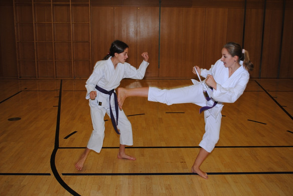 DSC_1779_JPG-1349375288