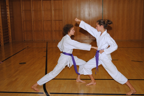 DSC_1782_JPG-1349375289