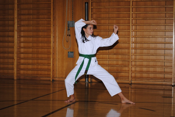 DSC_1792_JPG-1349375381