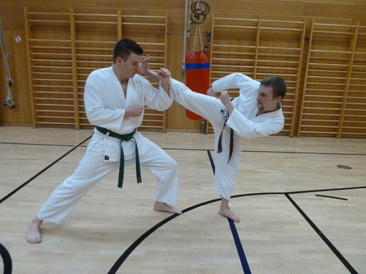 P1020375_JPG-1349375385