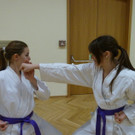 P1020470_JPG-1349375387