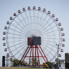 IBD0141-20121005.jpg