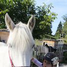 IMG_9616_JPG-1349427096