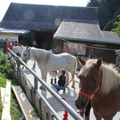 IMG_9618_JPG-1349427100