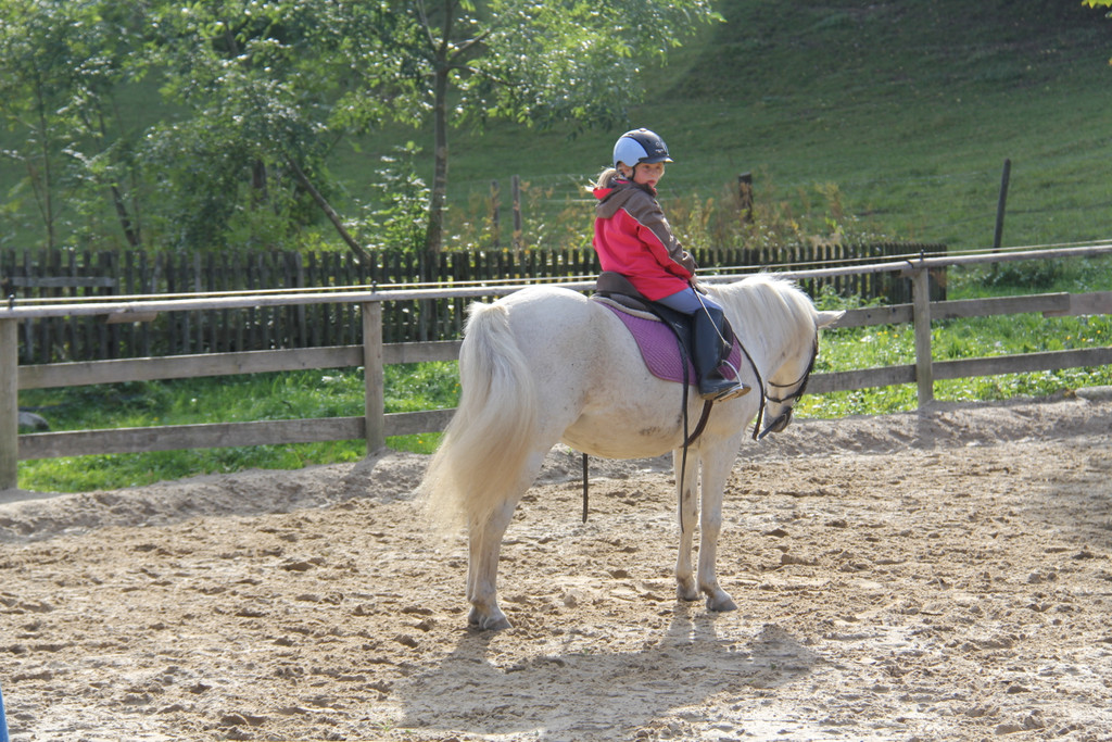 IMG_9621_JPG-1349427102