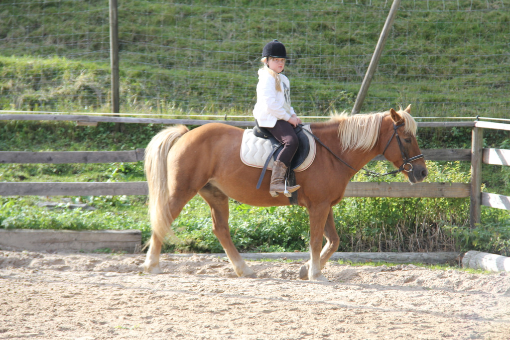 IMG_9625_JPG-1349427104