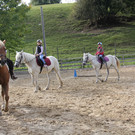 IMG_9654_JPG-1349427118