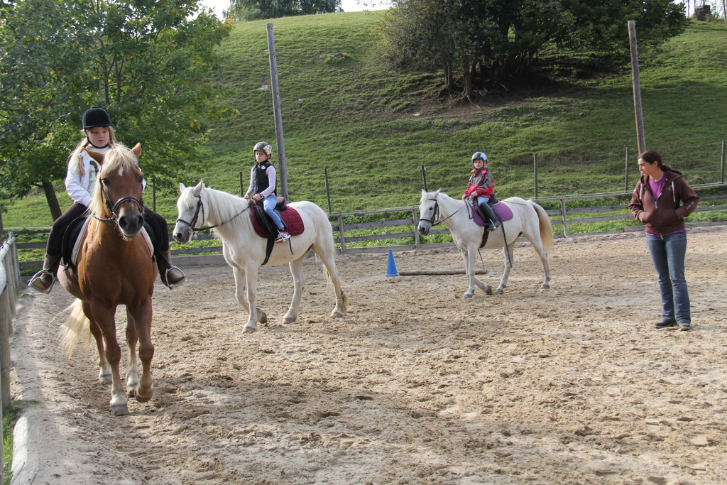 IMG_9654_JPG-1349427118