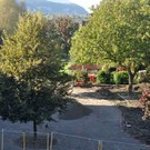 VS-Pausenhof014.JPG