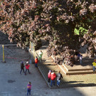 VS-Pausenhof015.JPG