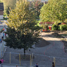 VS-Pausenhof016.JPG